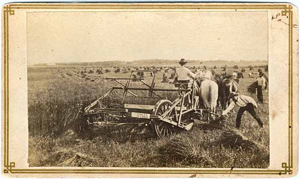 Photo of horse-drawn reaper cutting grain, 1860.