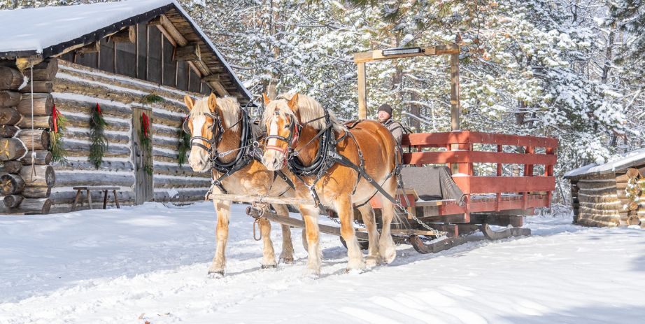 Holiday Sleigh Rides Forest History Center